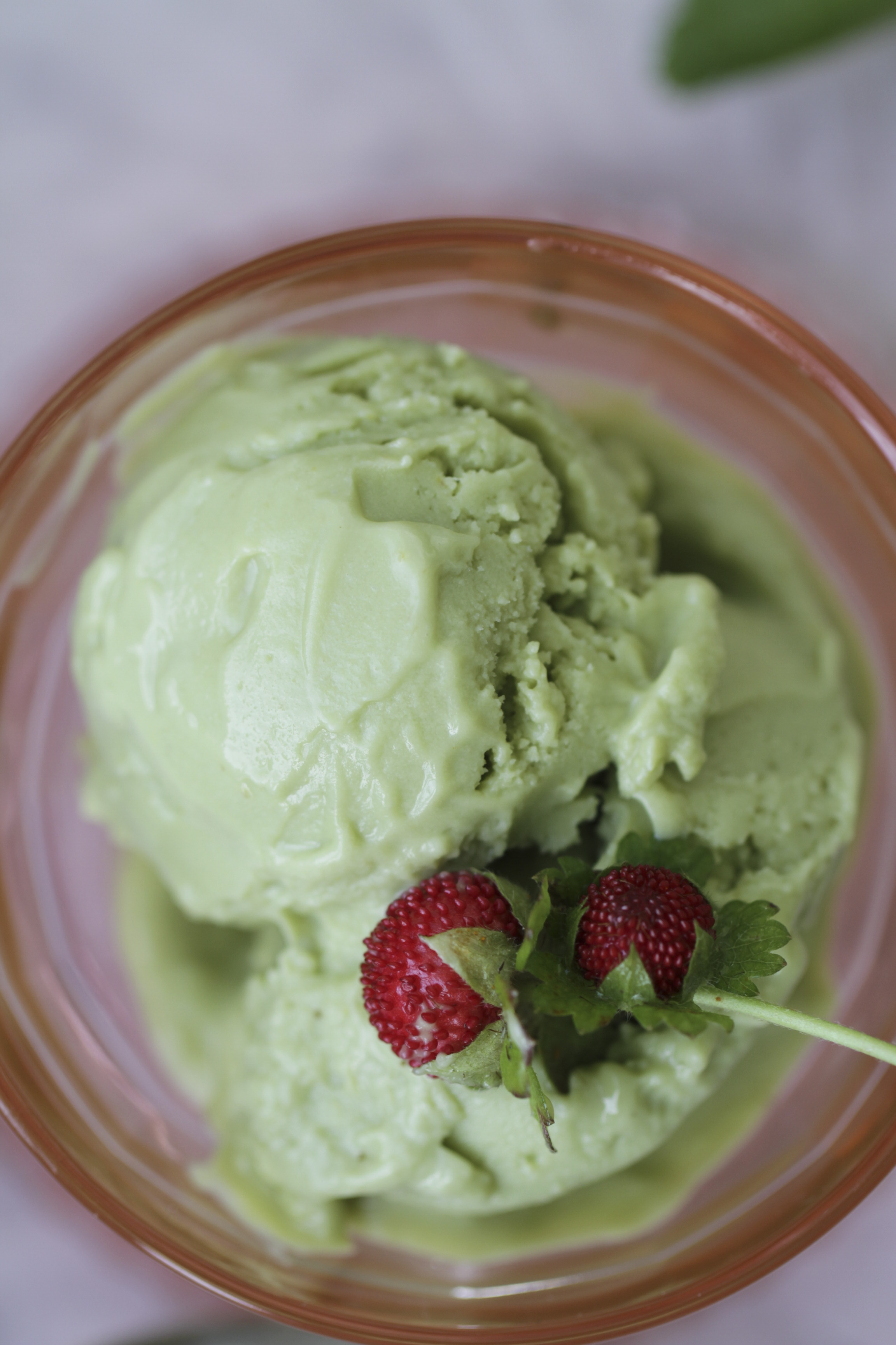 Avocado Ice Cream | Good Fats - Ever Open Sauce